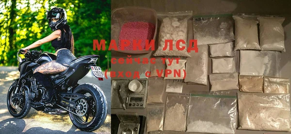 спиды Верея