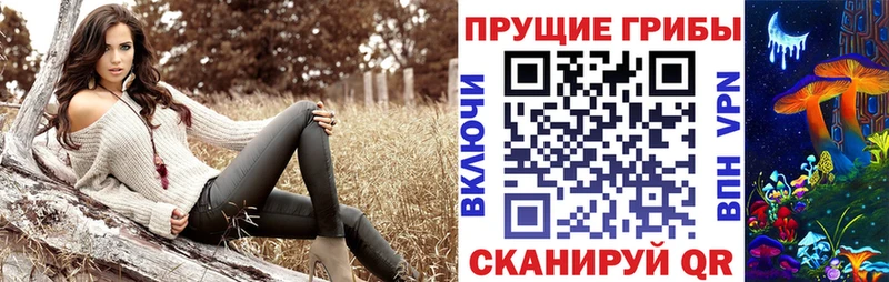 Псилоцибиновые грибы Cubensis  наркота  MEGA ссылка  Гатчина 